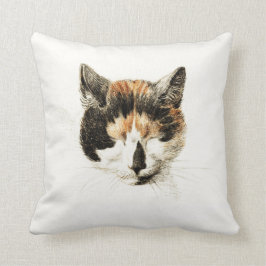 Almofada Gato de chita do sono