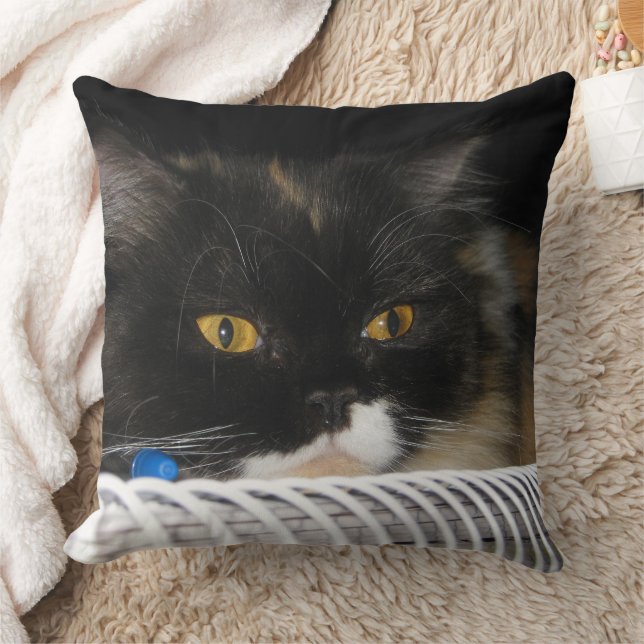 Almofada Gato de Estudo Bonito (Cobertor)