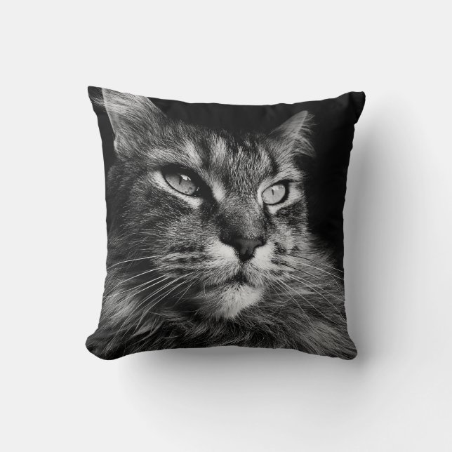 Almofada Gato de Maine Coon 16 x 16 (Frente)