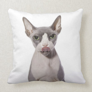 Almofada Gato de Sphynx com língua para fora