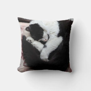 Almofada Gato de Tuxedo Gato Gato Gato Preto e Branco