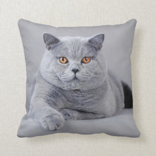 Almofada gato-do-mato-pequeno