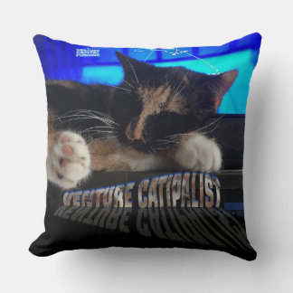 Almofada Gato Dormindo
