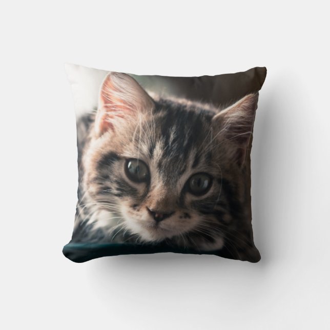 Almofada Gato malhado doce (Frente)