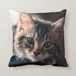 Almofada Gato malhado doce