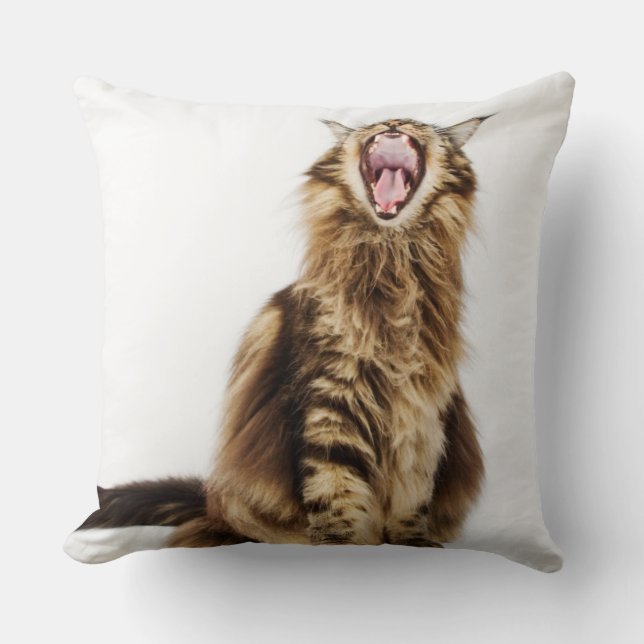 Almofada Gato malhado principal clássico do racum de Brown (Frente)