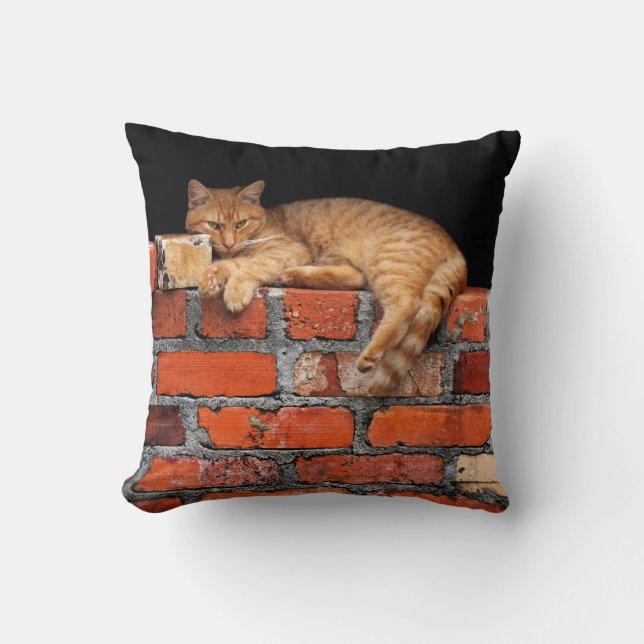 Almofada Gato na Parede Brick (Frente)