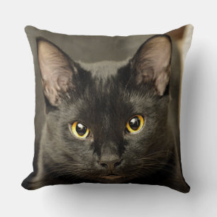 Almofada Gato Negro