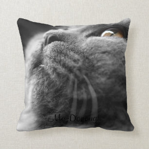 Almofada Gato persa cinzento