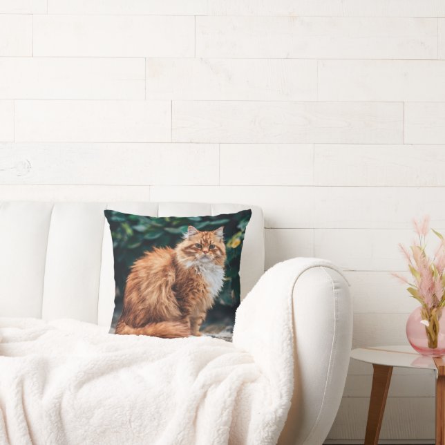 Almofada Gato Persa Laranja (Sofá)