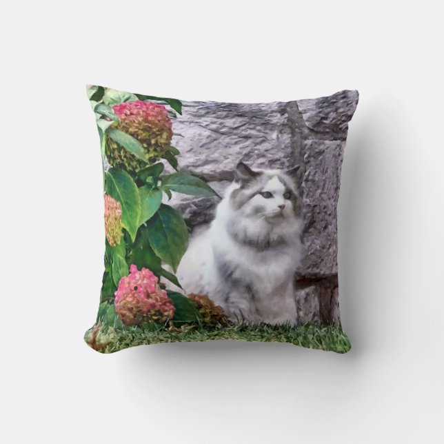Almofada Gato Ragdoll Por Hydrangea (Frente)