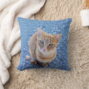 Almofada Gato vermelho e bonito em azul