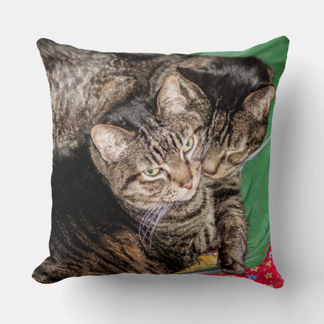 Almofada Gatos - Todos os dias - Feriados - Natal (Frente)