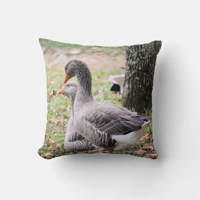 Almofada Geese (Frente)