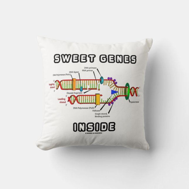 Almofada Genes Doce Humor de Replicação de DNA Dentro (Frente)
