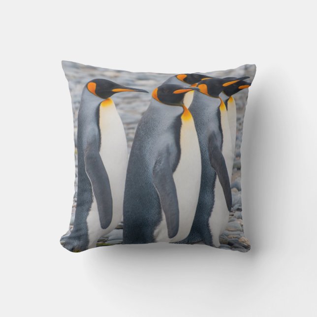 Almofada Geórgia do Sul. Pinguins-imperadores (Frente)