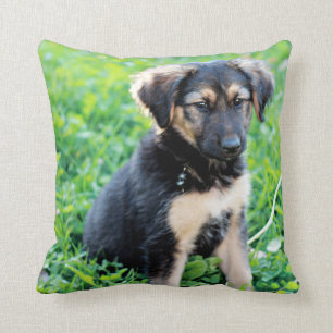 Almofada German shepherd
