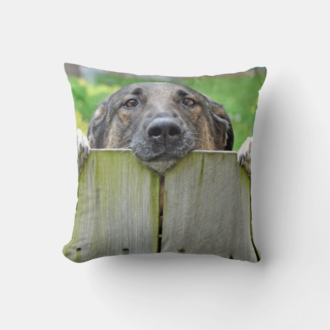 Almofada German shepherd a olhar para a cerca (Frente)
