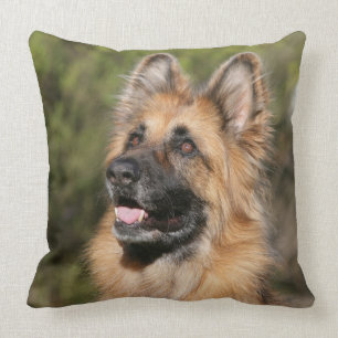 Almofada German shepherd de cabelos compridos 1