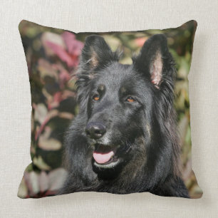 Almofada German shepherd de cabelos compridos preto