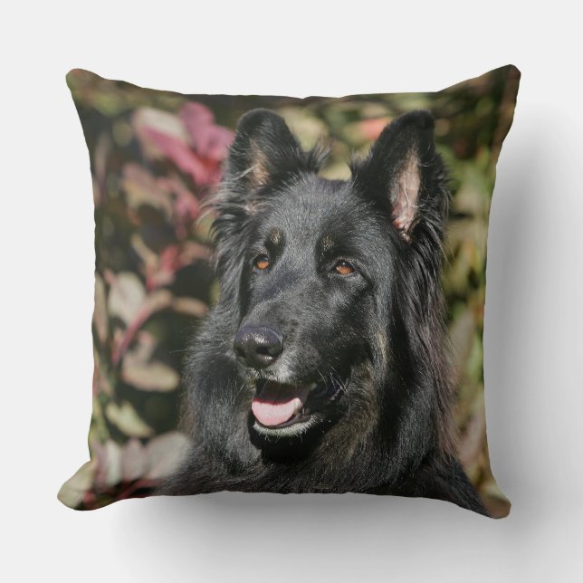 Almofada German shepherd de cabelos compridos preto (Frente)