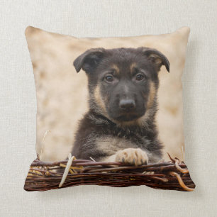 Almofada German shepherd Em Cesta