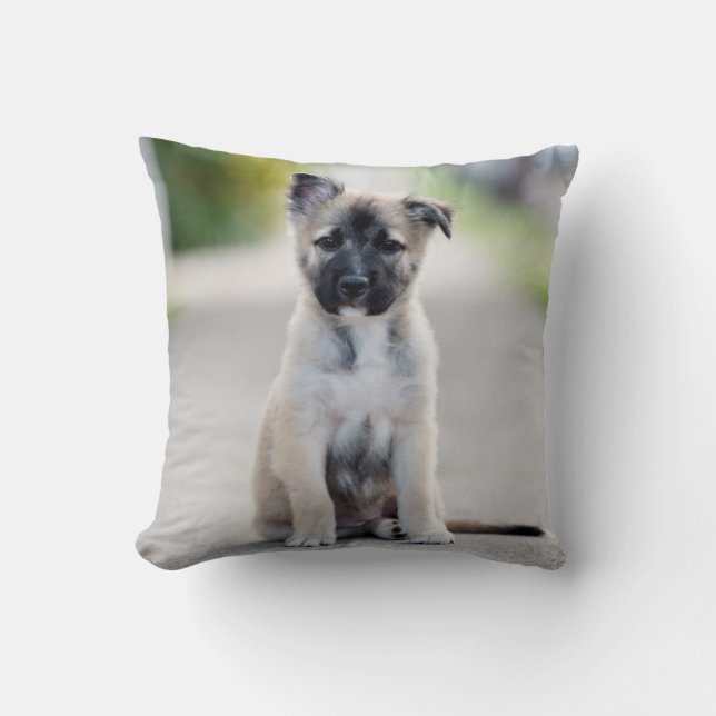 Almofada German shepherd no caminho (Frente)