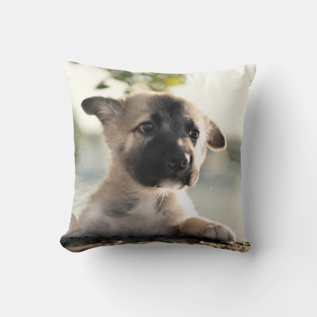 Almofada German shepherd Puppy Sobre A Borda (Frente)