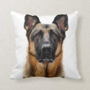 Almofada German shepherd Sentado