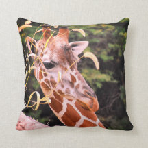 Girafa