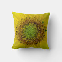 Girassol e sementes, espiral, rácio Ouro