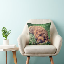 Almofada Golden Doodle Fofo