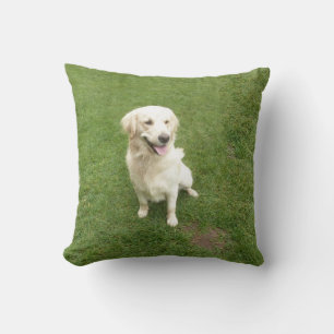 Almofada Golden retriever