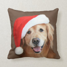 Golden retriever com chapéu do papai noel