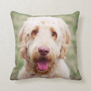 Almofada Goldendoodle sorrindo