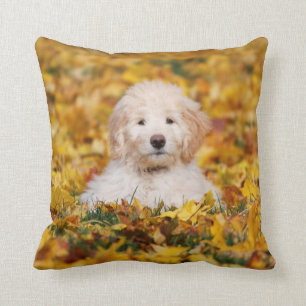 Almofada Goldendoodododododle Puppy Em Folhas De Queda