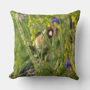 Almofada Goldfinch no Travesseiro decorativo de Campo das F
