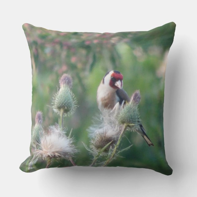 Almofada Goldfinch sobre o Travesseiro decorativo Fluffy Th (Frente)