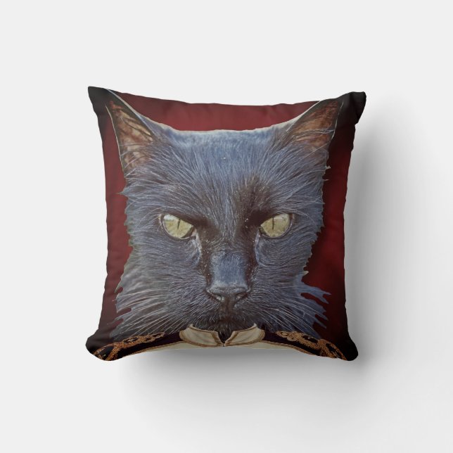 Almofada Grande Gato General Pillow! (Frente)