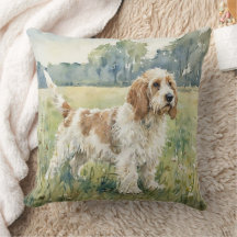 Griffon de Vandeia de pelo duro pequeno - PBGV