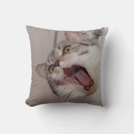 Almofada Gritando em British Shorthair