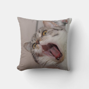 Almofada Gritando em British Shorthair