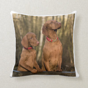 Almofada grupo do vizsla