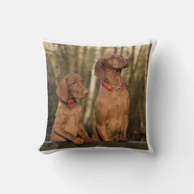 Almofada grupo vizsla (Frente)
