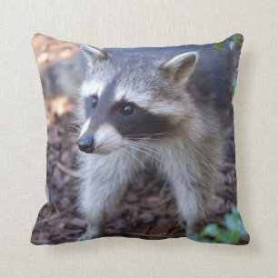 Almofada guaxinim Racoon