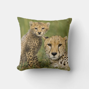 Almofada Guepardo, Acinonyx jubatus, com filhote
