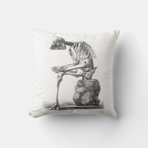 Almofada Halloween Skeleton Sitting Anatomia