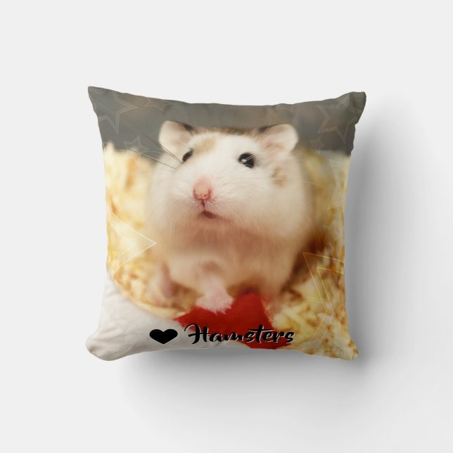 Almofada Hammyville - Hamster Bonito (Frente)