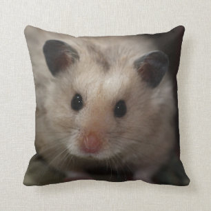 Almofada Hamster macio bonito
