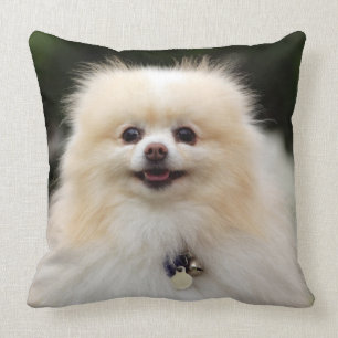Almofada Headshot 1 de Pomeranian